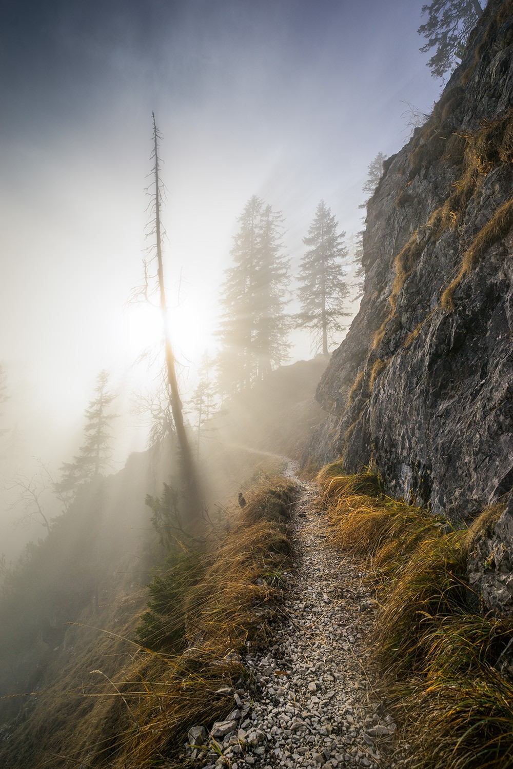 Mystische Nebelstimmung auf einem Lakaien-Steig im Soierngebirge