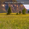 Blumenwiese Alpenwelt Karwendel