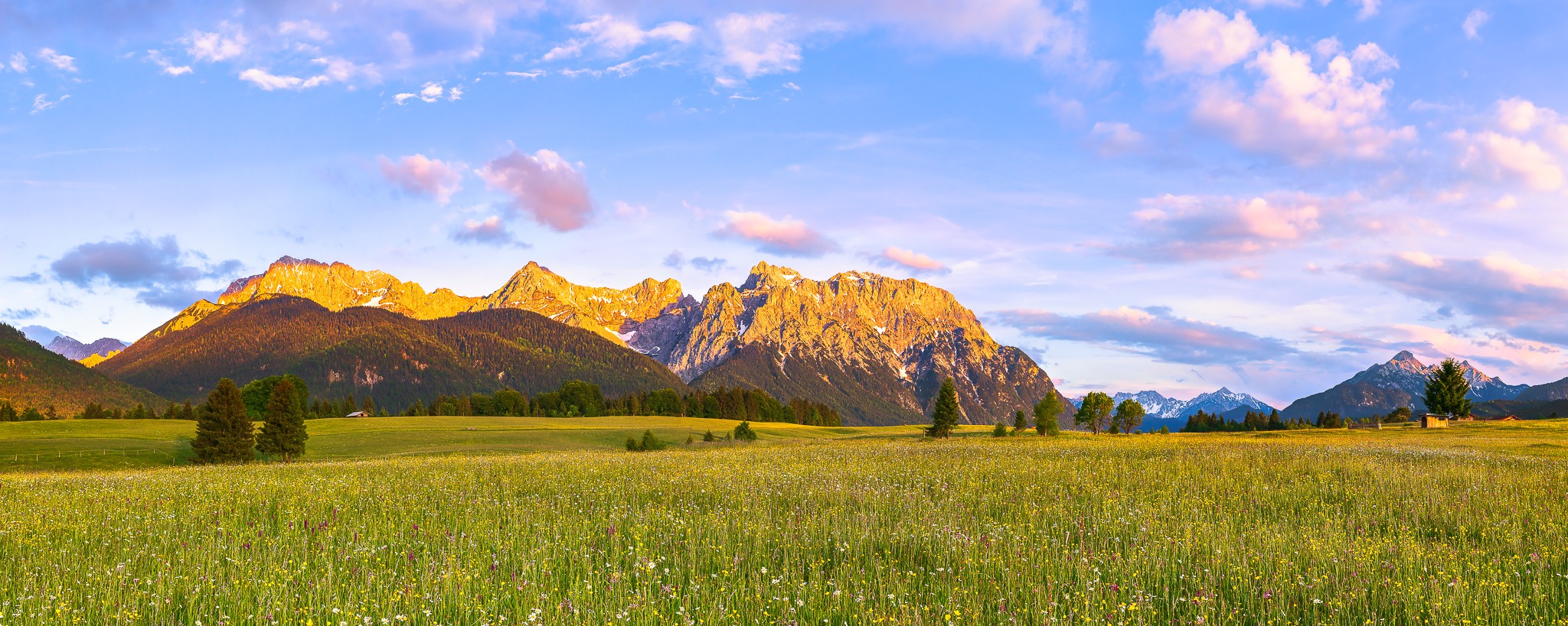 Alpenglühen auf den Buckelwiesen. Blumenwiese auf den Buckelwiesen zwischen Krün und Mittenwald. Abendstimmung mit Alpenglühen an einer Blumenwiese ...