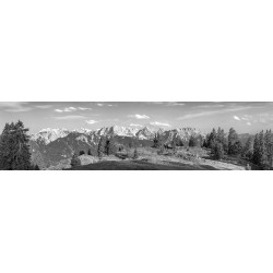 Almwiese - Karwendel und Soierngebirge Bergpanorama - Schwarz Weiß