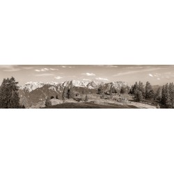 Almwiese - Karwendel und Soierngebirge Bergpanorama - Sepia