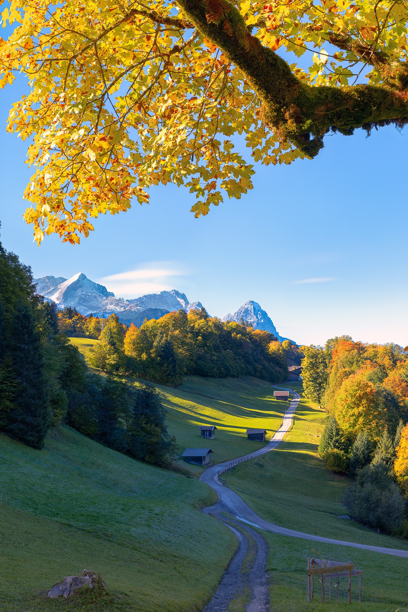 Herbst am Wamberg, die Laubbäume sind bereits schön gefärbt und auf den Bergen (Alpspitze, Zugspitze und Waxenstein) liegt bereits der erste Schnee.