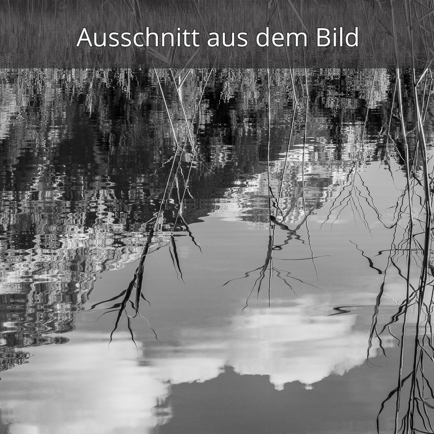 Luttensee - Karwendel im Herbst - schwarz weiß