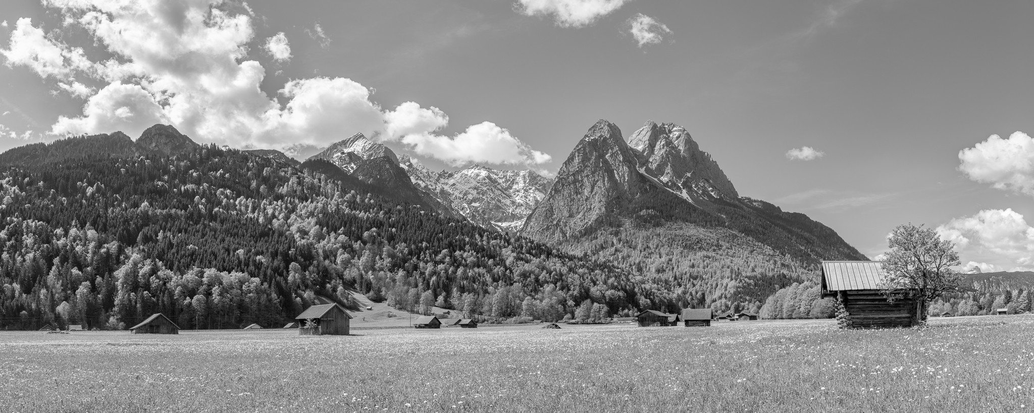 Ofelwiese - Garmisch-Partenkirchen - Alpspitze - schwarz weiß. Frühlingswiese bei Garmisch-Partenkirchen mit idyllischem Stadel. Blick auf Alpspitze, Höllentalspitzen und Waxenstein.