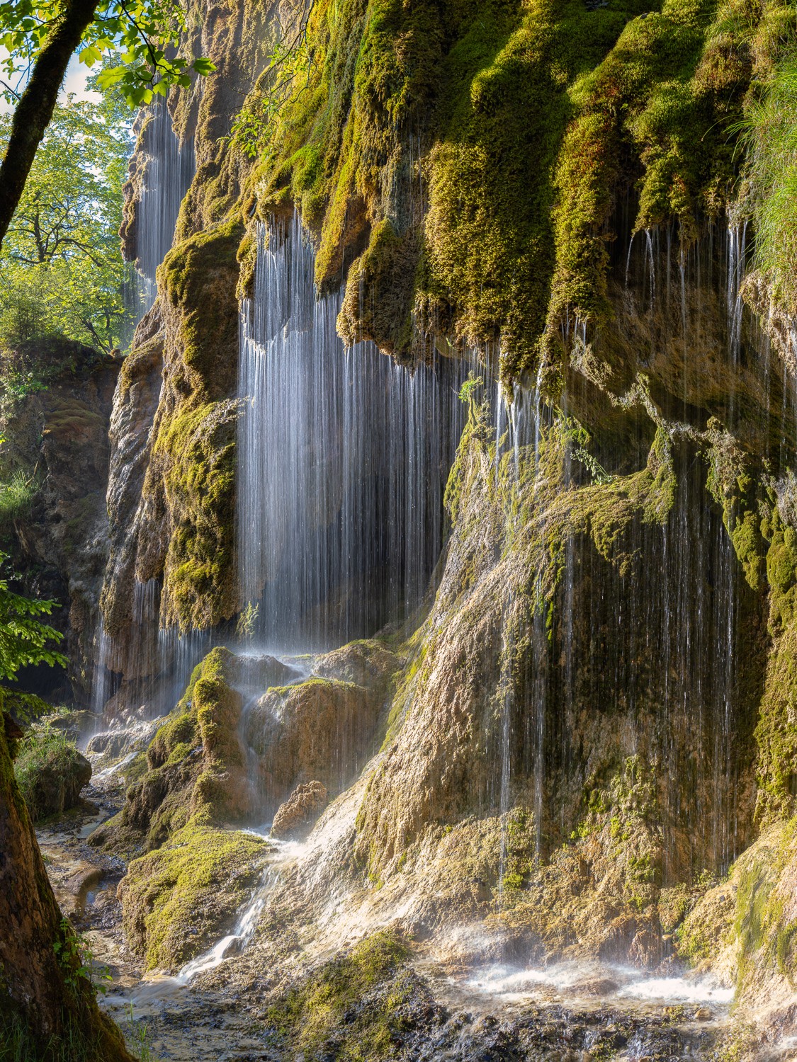 Wasserfall in der Ammerschlucht. Der moosbewachsene Kalktuffstein verteilt das Wasser auf der ganzen Wasserfallbreite. Die feinen Tropfen wirken wie eine Schleier vor den Kalktuffsteinhöhlen.