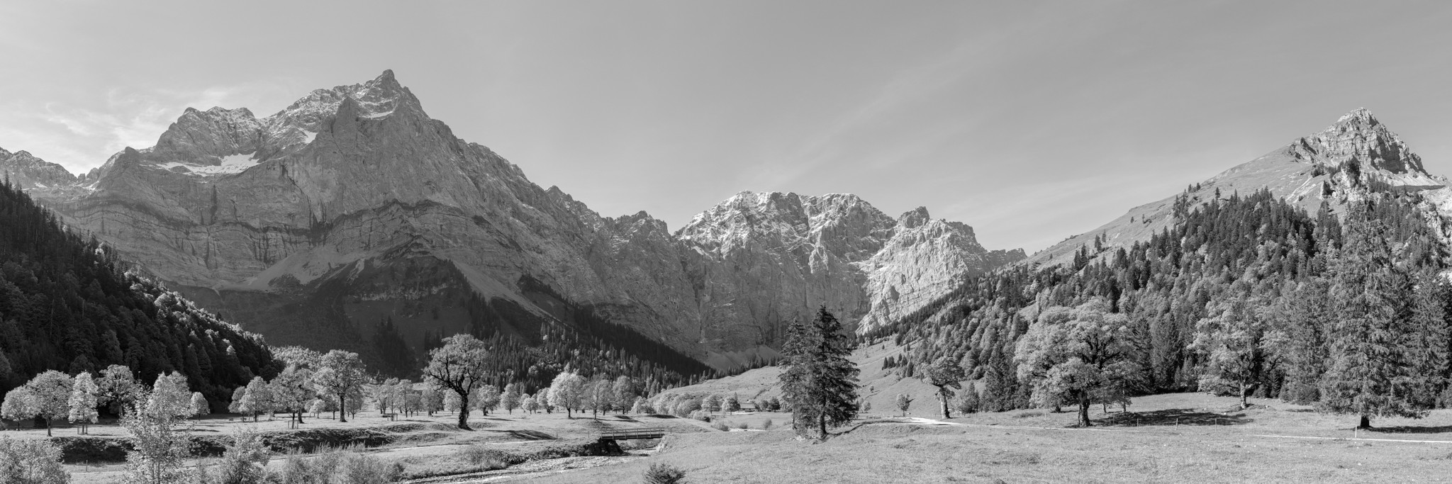 Großer Ahornboden - Engalm - Herbstlandschaft - schwarz weiß. Großer Ahornboden an der Engalm in Tirol.