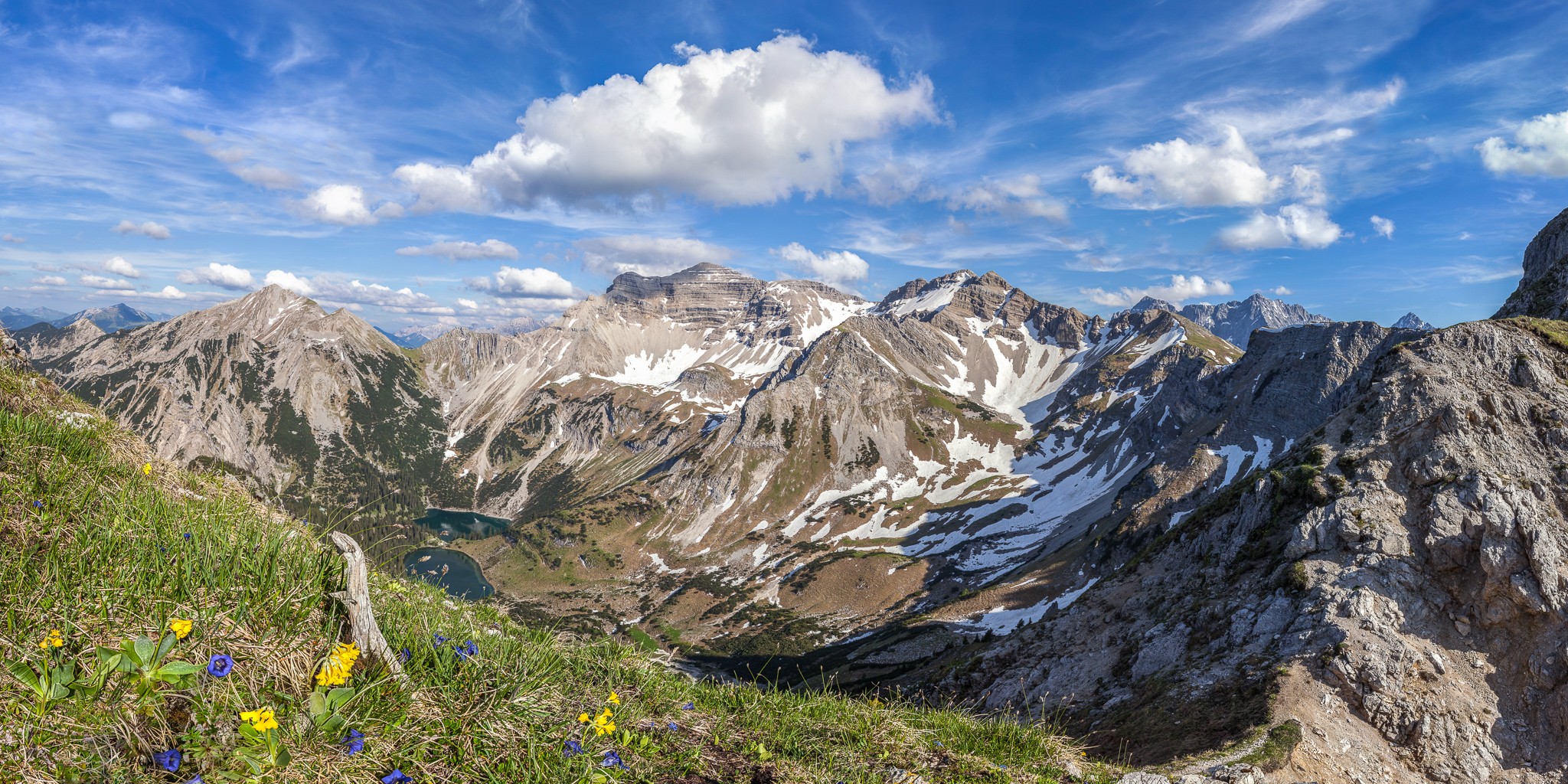 Bergfrühling in der Alpenwelt Karwendel mit Wanderer. Im Vordergrund blühen bereits Enzian und Bergaurikel, an der Soiernspitze und am Feldern liegt noch Schnee.