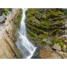 Wasserfall - Mooswand grünes Moos