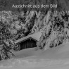 Stadel - Hütte im Winterwald