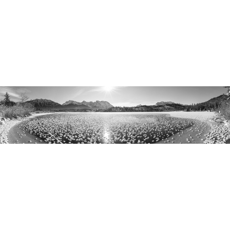 Eisrosen - Panorama am Barmsee schwarzweiß