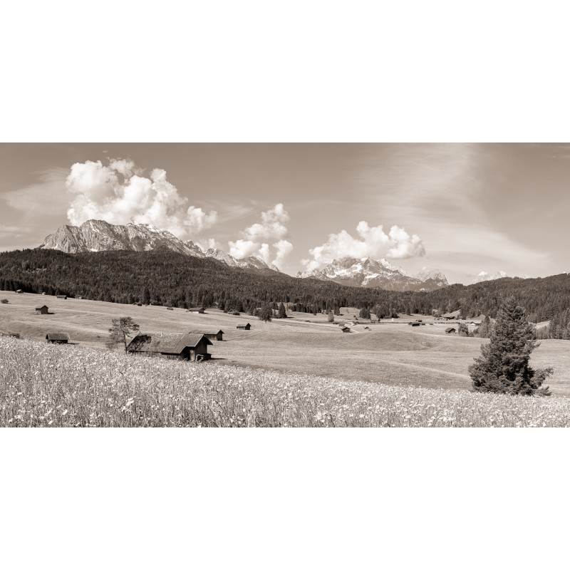 Buckelwiesen - Landschaft  sepia