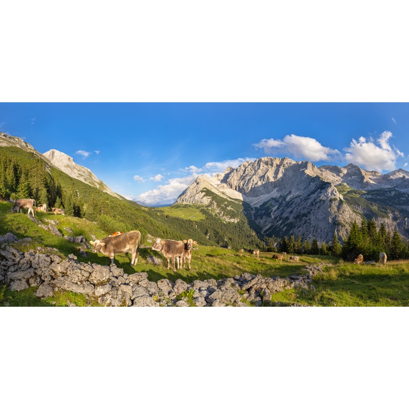 Karwendel - Birkarspitze vom Karwendeltal