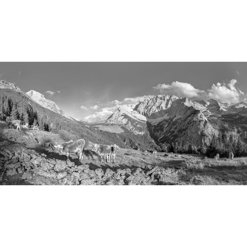 Karwendel - Birkarspitze vom Karwendeltal schwarz-weiß