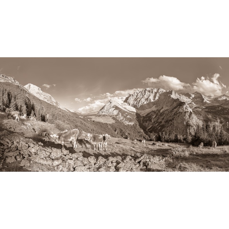 Karwendel - Birkarspitze vom Karwendeltal sepia