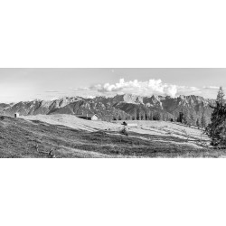 Almlandschaft - Krüner Alm - schwarz weiß