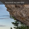 Höhle  Felsen Latsche