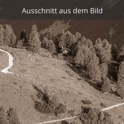 Botanischer Garten sepia