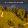 Botanischer Garten am Schachen