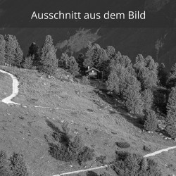 Botanischer Garten am Schachen schwarz weiß