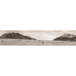 Ziegenwiese - Goaßalm Buckelwiesen sepia