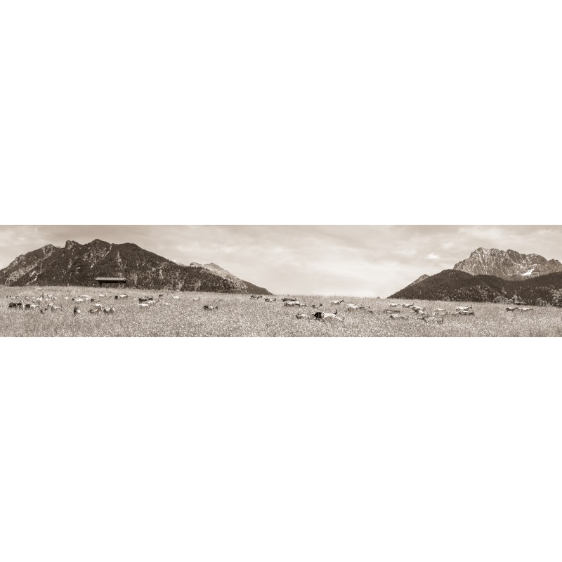 Ziegenwiese - Goaßalm Buckelwiesen sepia