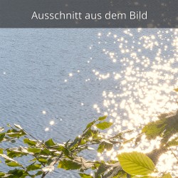 Sonnenspiegelung im welligen See