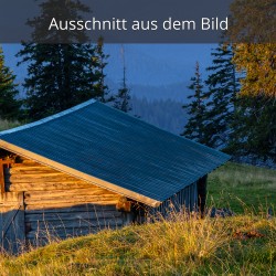 Stall auf der Alm