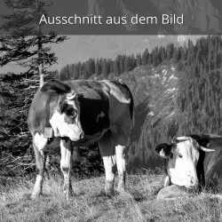 Kälber willst du mit