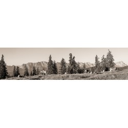 Almwiese mit Zugspitze 4:1 sepia kühe auf der Alm