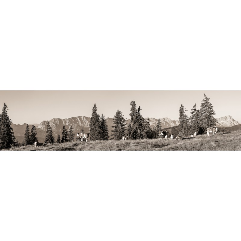 Almwiese mit Zugspitze 4:1 sepia