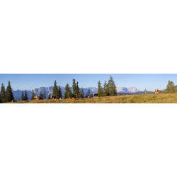 Panoramawiese auf der Alm