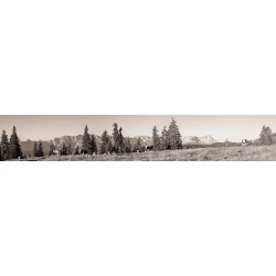 Panoramawiese auf der Alm sepia