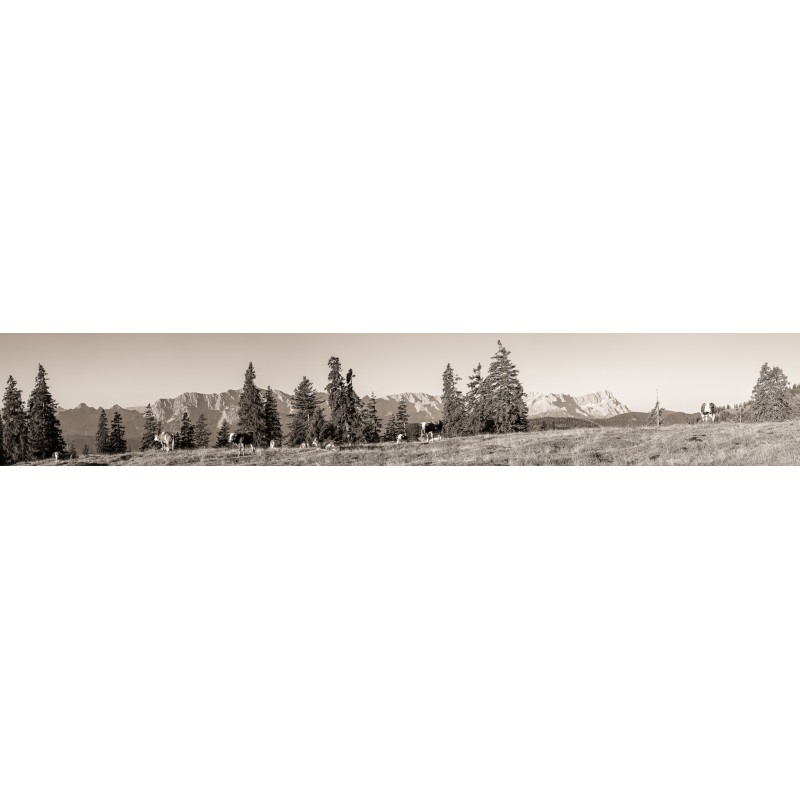 Panoramawiese auf der Alm sepia