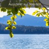 Buche am Walchensee