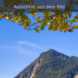 Fahrenberg am Herzogstand