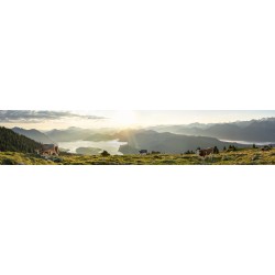 Walchenseeblick - Kälber mit Bergsilhouetten-Panorama
Walchensee Benediktenwand