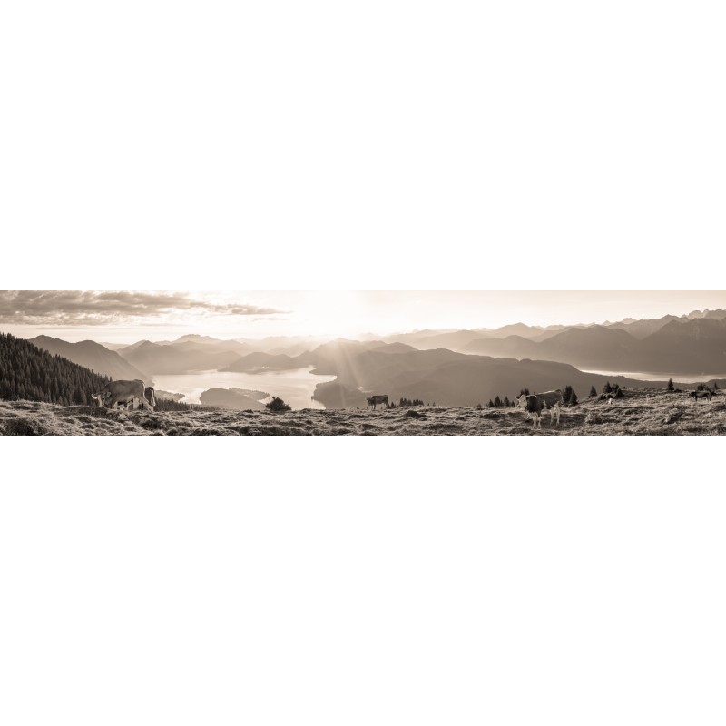 Walchenseeblick - Kälber mit Bergsilhouetten-Panorama sepia