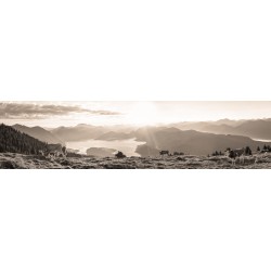 Sonnenaufgang Walchensee - Kälber mit Bergsilhouetten sepia