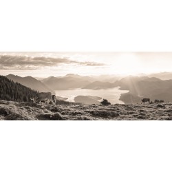 Walchensee - Kälber mit Bergsilhouetten sepia