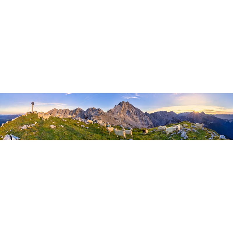 Frauenalplspitz - Panorama mit Schafen