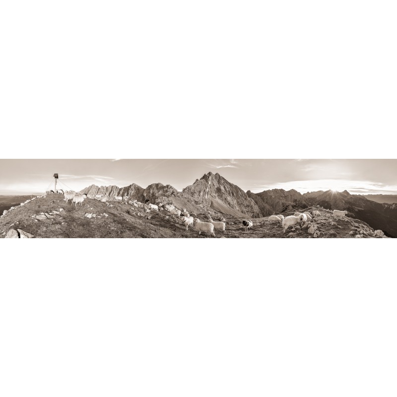 Frauenalplspitz - Panorama mit Schafen sepia