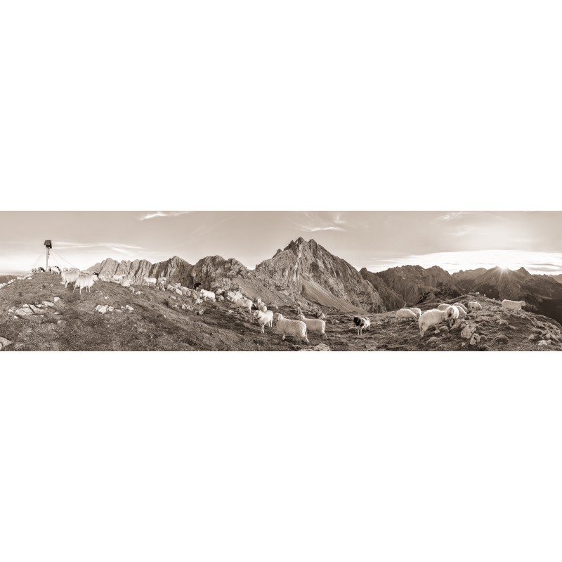 Frauenalplspitz - Schafe 4:1 sepia