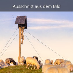 Bergkreuz Frauenalplspitze