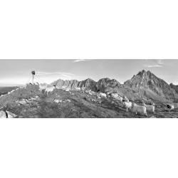 Schafe Frauenalplspitz - Partenkirchener Dreitorspitze sw