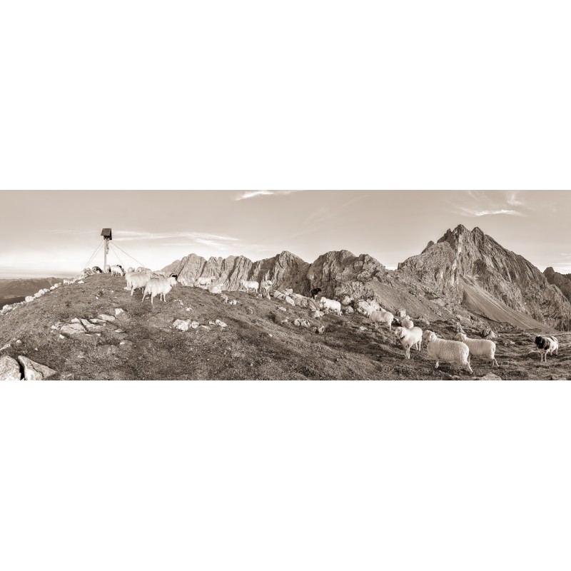 Schafe Frauenalplspitz - Partenkirchener Dreitorspitze sepia
