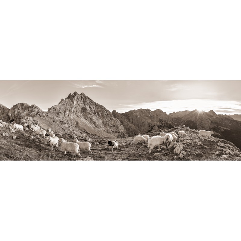 Schafe - Partenkirchener Dreitorspitze - Zugspitze sepia