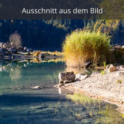 Eibsee mit Schilfufer