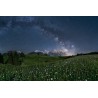 Sternenhimmel über dem Karwendel - Blumenwiese im Mondlicht