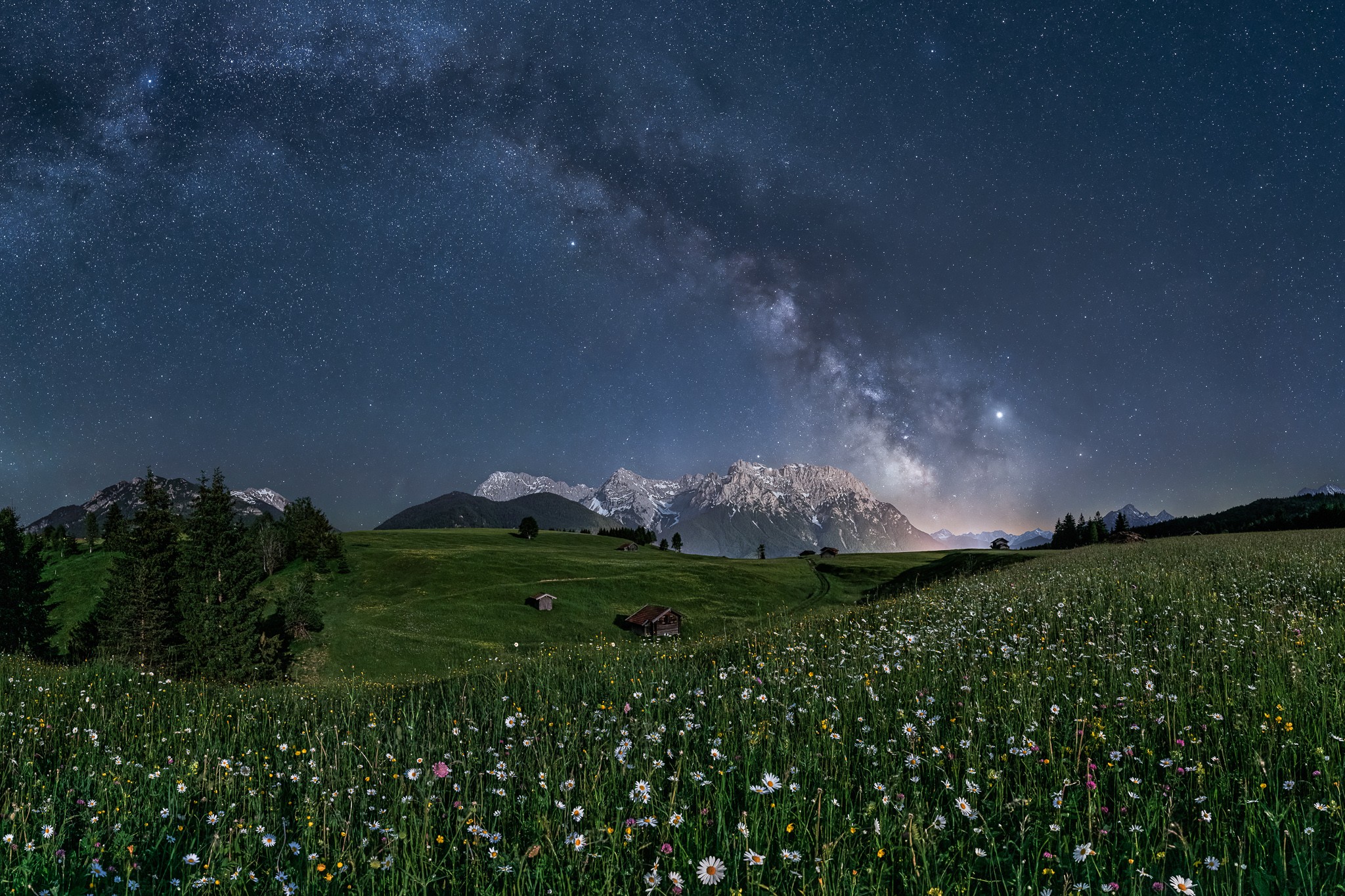 Margeriten in der Nacht bei klarem Stenenhimmel und Milchstraße vor dem Karwendel.