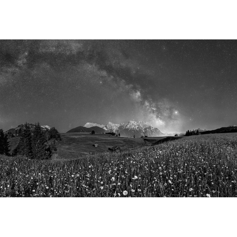 Sternenhimmel über dem Karwendel - Blumenwiese im Mondlicht - schwarz weiß